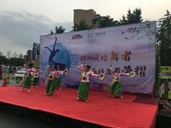 -梧桐花语舞蹈培训中心(潞城校区)