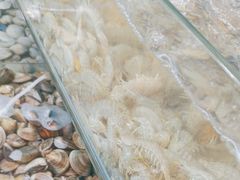 -港畔赶海蒸汽海鲜烧烤自助(仙螺岛店)