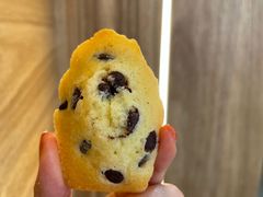 -Madeleine玛德琳(永平里店)