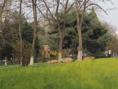 -辽宁大学(崇山校区)