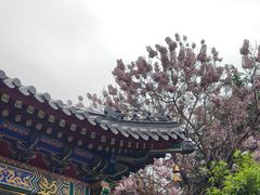 -西安市广仁寺