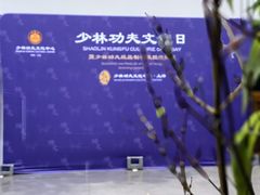 -少林功夫文化中心·独门独院
