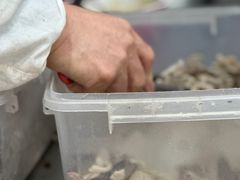 -教师之家赵家羊汤馆(东青龙街店)