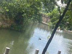 -平江沱龙峡漂流