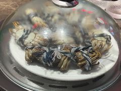 -日进一片海.生腌海鲜火锅.宵夜烧烤(三里屯总店)