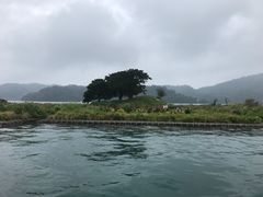 -日月潭