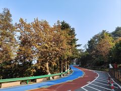 -庐山碧龙潭风景区