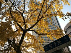 -陆家嘴中心绿地