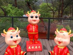 -牛鱼嘴原始生态风景区