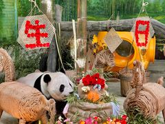 -灵玲国际马戏城