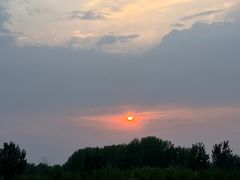-鉳里小馆·烤鱼·大虾·烧鸡公