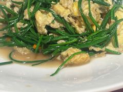 -新疆兵团食府清真(马连道店)