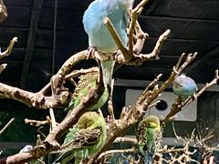 -绿色星球动物主题公园