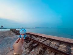 -海堤纪念公园