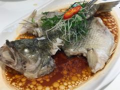 -至潮餐厅精致粤菜·活鲈鱼·走地鸡(珠江新城店)