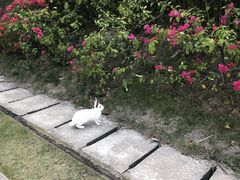 -小南山公园