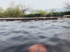 -天目湖涵田度假村