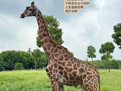 -常州淹城野生动物世界
