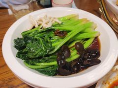 -新白鹿餐厅(百联中环店)