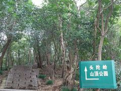 -紫金山山顶公园