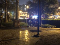 -神仙树公园