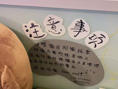 -平行世界·猫咖(首经贸店)