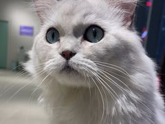 -怪兽屋·羊驼·猫咖·狗咖(俊华广场店)