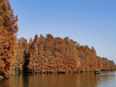 -上海海湾国家森林公园