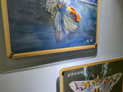 -上海昆虫博物馆