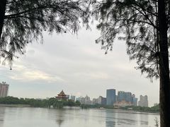 -顺峰山公园