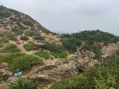 -杨梅坑