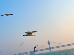 -星海广场