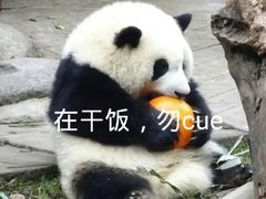 -一记面馆(易发店)