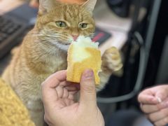 -银座仁志川·生吐司专门店(香港广场店)