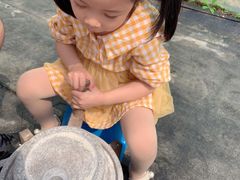 -前小桔亲子创意农场·草莓采摘·露营烧烤