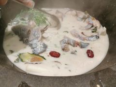 -鲜潭蒸汽石锅鱼(五道口购物中心店)