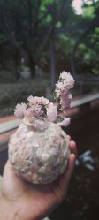 点击看大图 -莲生母婴月子中心(清水河公园店)