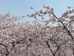 -苏州上方山国家森林公园