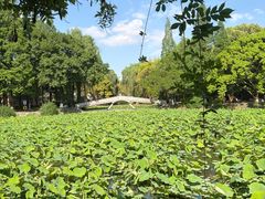 -西南交通大学(九里校区)