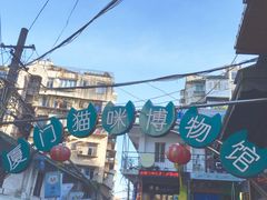 -猫咪博物馆(顶澳仔猫街店)