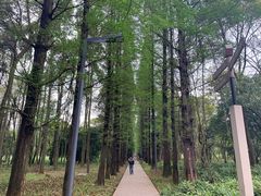 -贵阳市花溪国家城市湿地公园