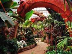 -沈阳植物园