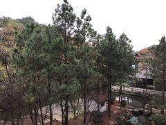 -绍兴鉴湖君澜大酒店
