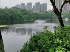 -重庆彩云湖湿地公园