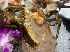 小青龙-东海怡品海鲜豆捞(舟宿夜江店)