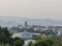 -铁山坪森林公园