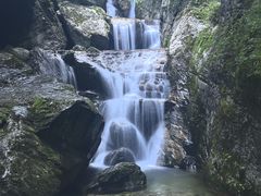 -牛背梁国家森林公园