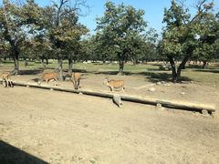 -西安秦岭野生动物园