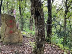 -上海佘山国家森林公园天马山园