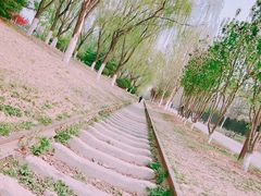 -永定河休闲森林公园